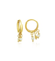 Barika Jewelry Kadın Incili Sallantılı Halka Küpe