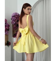 Mulvxmdyk Mdyk02 Dreas Fiyonk Detaylı Elbise (Mulvix)