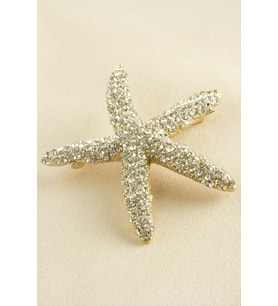 Deniz Yıldızı Taşlı Broş