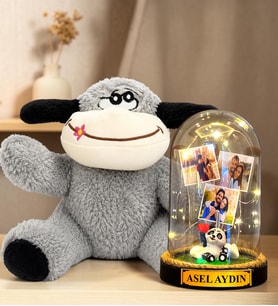 Kişiye Özel 3 Fotoğraflı Yazılı LED Işıklı Fanus ve Peluş Eşek Hediye Seti (pandalı)