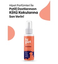 Fruit Base Parfüm 120 ml