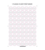 PAKETİ İL AÇAN SİZSİNİZ 4 cm VARAK YALDIZ BASKILI AĞIZ KAPAMA ETİKETİ (Gümüş)