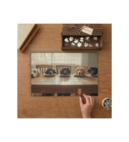 Yemek Bekleyen Sevimli Köpekler Tasarımı 240 parça Ahşap Puzzle Ahşap Kutuda MP03238