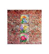 Mektupta Çiçek Fügürleri Baskılı 14x14 Cm 3 Parça
