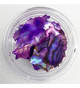 Doğal Deniz Kabuğu Mor 1 gr - Işıltılı Nail Art Tırnak Süsü