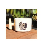 Kedi Baby Baskılı Beyaz T Kulp Kupa Bardak