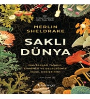 Saklı Dünya