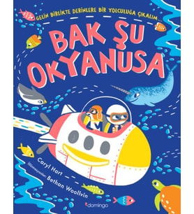 Bak Şu Okyanusa