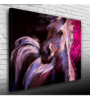Beyaz At Yağlıboya Kanvas Tablo 50 x 70