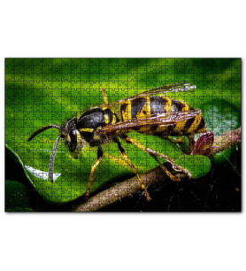 Cakapuzzle Yapraktan Su İçen Eşek Arısı Makro Çekim Puzzle Yapboz MDF (Ahşap) (120 Parça)