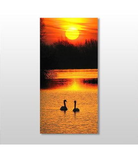 Ördek Ve Gün Batımı Kanvas Tablo 70x105cm (Karışık)