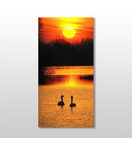 Ördek Ve Gün Batımı Kanvas Tablo 70x105cm (Karışık)