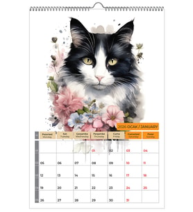 2026 KEDİ COLOR DUVAR TAKVİMİ-PLANLAMA 33X48 cm