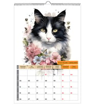 2026 KEDİ COLOR DUVAR TAKVİMİ-PLANLAMA 33X48 cm