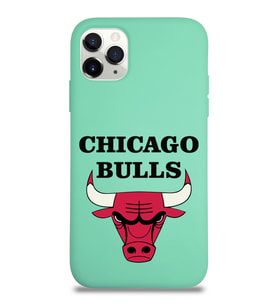 Apple iPhone 11 Pro Uyumlu Lansman Kılıf Chicago Bulls Tasarımlı Altı Kapalı İçi Kadife Kaplı  Kapak (Şeffaf)