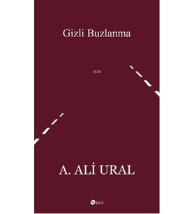 Gizli Buzlanma