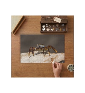 Kayalıkta Yengeç Tasarımı 240 parça Ahşap Puzzle Ahşap Kutuda MP08247