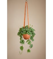 El Yapımı Deri Saksı Askısı, 90cm, Kahverengi, Modern Dekorasyon