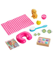 Barbie'nin Spa Günü Bebekleri GJG55