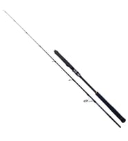 Ryuji Seawolf 1.68m 150-250gr 2P Jig Olta Kamışı