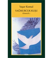 Yağmurcuk Kuşu - Kimsecik 1