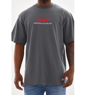 Erkek Baskılı T-Shirt Kısa Kol Bisiklet Yaka Rahat Kalıp Tişört - Füme