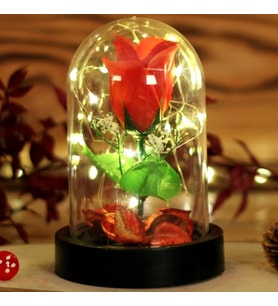 Led Işıklı Fanus Gül