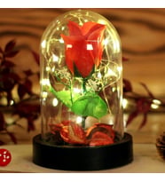 Led Işıklı Fanus Gül