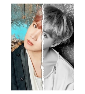 Bts J-hope (bölünmüş Fotoğraf) Tablo Ahşap Poster Dekoratif Kod1113