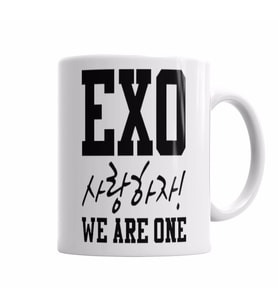 Exo we are one Kupa Bardak Porselen