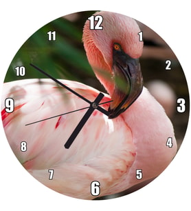 Cakatablo Pembeli Beyazlı Amerikan Flamingosu Görseli Duvar Saati