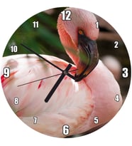 Cakatablo Pembeli Beyazlı Amerikan Flamingosu Görseli Duvar Saati