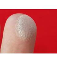 Carmina Highlighter Yüz ve Vücut Pudrası Aydınlatıcı Toz 01