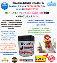 Tavuk Probiyotik Ovumix 300 Gr 10 milyar Yararlı Bakteri ile Çok Güçlü