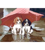 Yağmurdan Kaçarken Sayılarla Boyama Seti(40x50 cm Tuval Şasesine Gerili)
