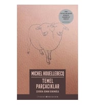 Temel Parçacıklar