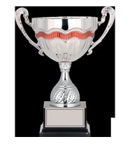ODAK KUPA - Elit Kupalar - ELT-052 B - 36 cm