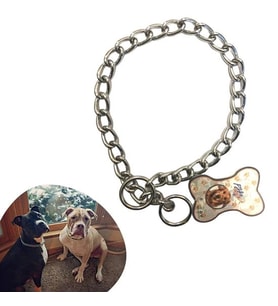 65 cm Uzunlukta Zincir Model Köpek İçin Boyun Tasması (5365)