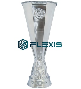 FLEXIS WE MAKE IT POSSIBLE FOR YOU EFA AVRUPA LİGİ KUPASI MAKETİ 36 CM GERÇEKÇİ DEV BOY