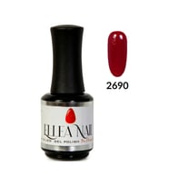 Profesyonel Kalıcı Oje 15 ml 2690