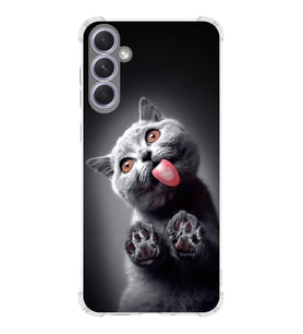 PrintiFy Samsung Galaxy A54 Uyumlu Kedi 2 Baskılı Şeffaf Köşe Korumalı Antişok Kılıf
