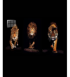  Aslan,kaplan,jaguar 3 Lü Set Cam Tablo