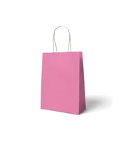 18x8x24 Büküm Saplı Çanta 10'lu Pembe M534