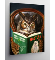 Kanvas Tablo Kitap Okuyan Baykuş