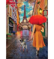 Nova 1000 Parça Paris Sokaklarında Gezinti Puzzle