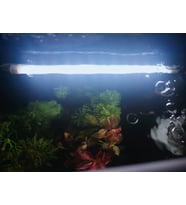 ORİONLED Aquaslim Serisi - 20 Cm Beyaz Akvaryum Led Lamba - Aydınlatma
