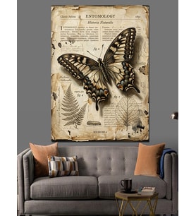 Entomology Kelebek Vintage Poster Dekoratif Kanvas - Mdf Ahşap Tablo