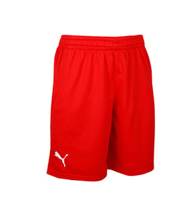 Puma Turkey Practice Short Erkek Türkiye Basketbol 60547202 Kırmızı