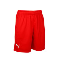 Puma Turkey Practice Short Erkek Türkiye Basketbol 60547202 Kırmızı