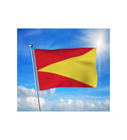 Babür İmparatorluğu Bayrağı Premium Raşel Kumaş 70x105 cm